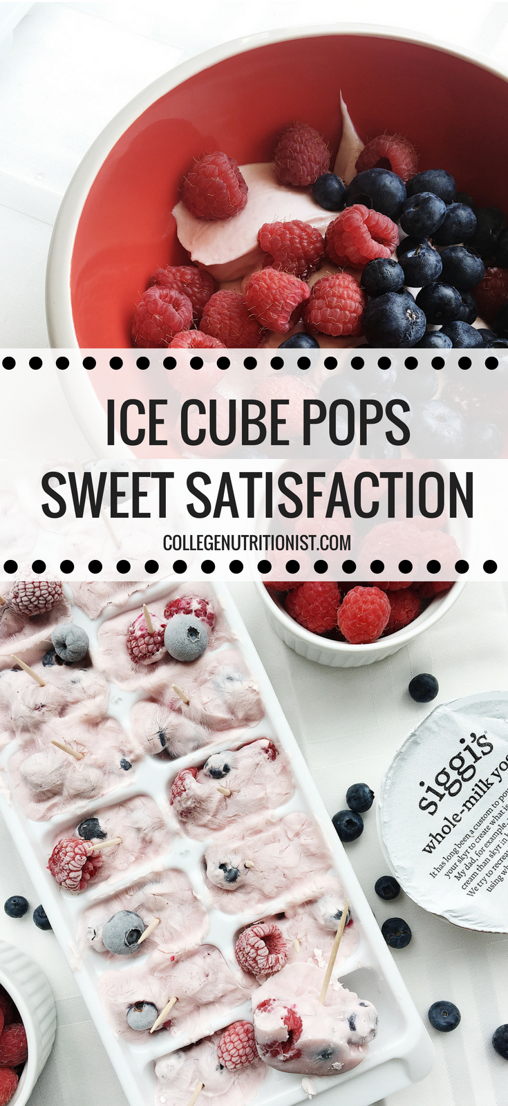 Ice Cube Pops for Sweet Satisfaction